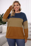 Crew Neck Striped Color Block Plus Size Sweatshirt