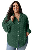 Swiss Dot Textured Plus Size Shirt