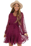 Swiss Dot Long Sleeve Mini Dress with Waist Tie