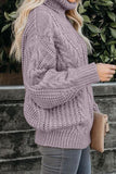 Chunky Turtleneck Sweater