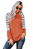 Striped Animal Print Colorblock Long Sleeve Top