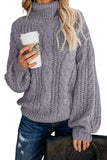 Chunky Turtleneck Sweater