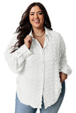 Swiss Dot Textured Plus Size Shirt