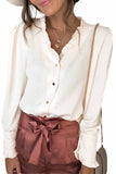 Frilled V Neckline Buttoned French Shirt