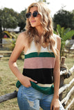 Color Block Knitted Sweater Vest