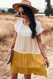 Loose Fit Ruffled Color Block Dress