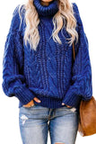 Chunky Turtleneck Sweater