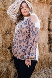 Plus Size Leopard Color Block Asymmetrical Cold Shoulder Top
