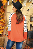 Spooky Spider Web Striped Leopard Color Block Top