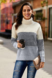 Color Block Netted Texture Turtleneck Sweater