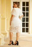 White Plus Size Lace Overlay Dress