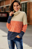 Color Block Netted Texture Turtleneck Sweater