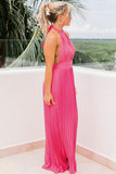 Rose Halter Sleeveless Open Back Pleated Maxi Dress