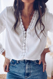 Lace Crochet Buttoned Long Sleeve Shirt