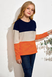 Leopard Print Colorblock Kids Long Sleeve Top