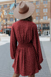 V Neck Balloon Sleeve Smocked Waist Printed Mini Dress