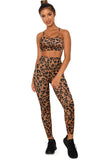 Charcoal Leopard Sports Bra and Legging Set