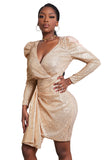 Sequin Deep V Neck Long Sleeve Mini Dress
