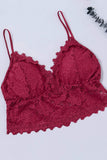 Deep V Lace Bralette Crop Top