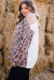 Plus Size Leopard Color Block Asymmetrical Cold Shoulder Top
