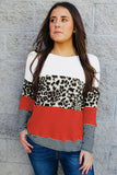 Stripes Leopard Splicing Colorblock Long Sleeve Top