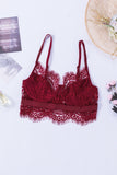 Live A Little Fun Lace Bralette