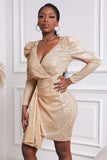 Sequin Deep V Neck Long Sleeve Mini Dress