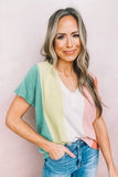 Multicolor Colorblock V Neck Short Sleeve Top