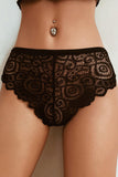 Sheer Lace Underwear