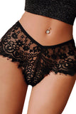 Lace Patchwork Eyelash Trim Panty