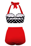 Vintage Halter Push Up Polka Dot High Waist Tummy Control Plus Size Bikini