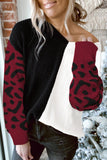 Print Contrast Color V Neck Sweater