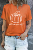 Orange Autumn Harvest Pumpkin Graphic T Shirt