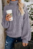 Chunky Turtleneck Sweater