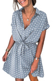 Polka Dot Shirt Collar Short Sleeve Mini Dress