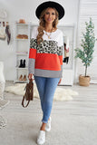 Stripes Leopard Splicing Colorblock Long Sleeve Top
