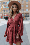 V Neck Balloon Sleeve Smocked Waist Printed Mini Dress