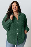 Swiss Dot Textured Plus Size Shirt